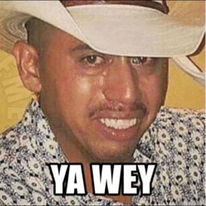 Meet your Posher, Kyleigh